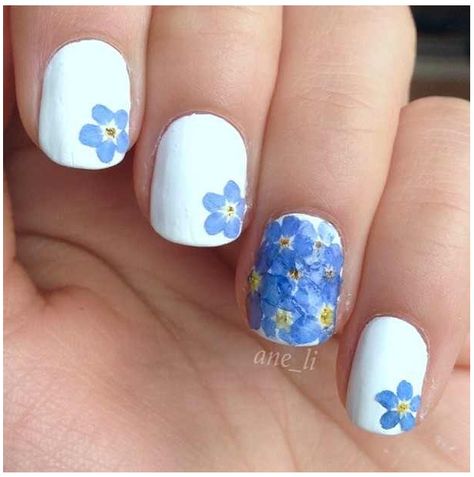 Forget me not wedding nails! Shellac Nails, Spring Nail Art, Pretty Nail Art, Flower Nail Art, Bridal Nails, Blue Makeup, Nail Extensions, Flower Nails, Forget Me Not