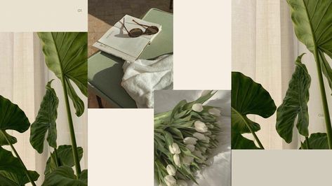 Sage collage with images of large and small leaves as well as sunglasses and white tulips. Laptop Wallpaper Plants Aesthetic, Laptop Wallpaper Desktop Wallpapers Aesthetic Sage Green, Laptop Wallpaper Aesthetic Green Sage, The Secret History Desktop Wallpaper, Laptop Wallpaper Desktop Wallpapers Aesthetic Vintage Green, Sage Wallpaper Laptop, Plant Aesthetic Wallpaper Laptop, Spring Laptop Background, Plant Wallpaper Laptop