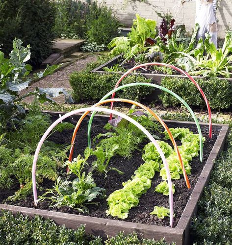 Gardens For Kids, Diy Hula Hoop, Garden Cloche, Hoop Projects, Hula Hoops, Children's Garden, Veg Garden, School Garden, Cold Frame