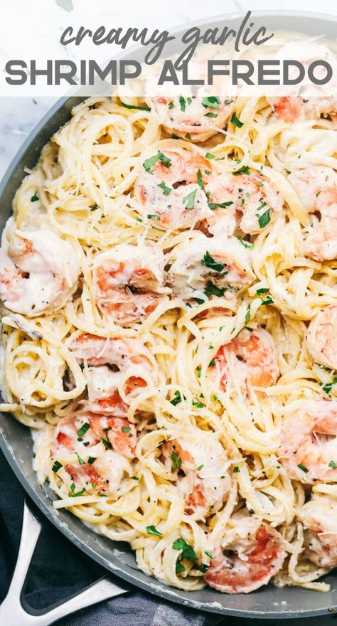 Creamy Garlic Shrimp Alfredo Pasta is such a classic meal that is brought to its BEST with Shrimp.  Thus meal tajes little effort and is so creamy and delicious the entire family will go crazy for! Garlic Ideas, Garlic Shrimp Alfredo, Creamy Garlic Shrimp, Pasta Shrimp, Recipes Shrimp, Pasta Alfredo, Plats Healthy, Shrimp Alfredo, Recipe Critic