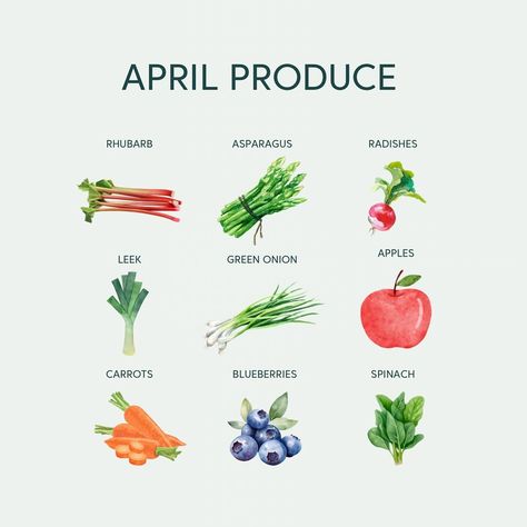 APRIL SEASONAL PRODUCE 🍎🥕 ⁠ We are excited for a this month around here, many fun things coming your way. But could we possibly be more excited for this amazing seasonal produce lineup?! ✨🤍 Seasonal Produce, Eat Seasonal, In Season Produce, Radishes, Rhubarb, Fun Things, On Instagram, Instagram