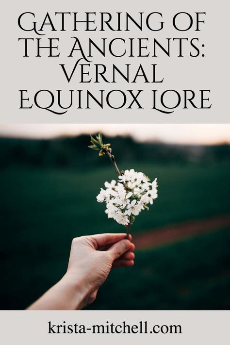 Gathering of the Ancients: Vernal Equinox Lore — KRISTA MITCHELL Spring Equinox Ritual, Clasping Hands, Sacred Grove, Wiccan Sabbats, Sacred Groves, Pagan Festivals, Vernal Equinox, Easter Lily, Spring Celebration