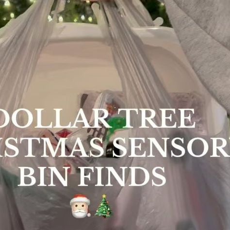 bre • mom lifestyle on Instagram: "Dollar tree Christmas sensory bin finds🎄🎅🏻 #dollartree #dollartreefinds #dollartreechristmas #dollartreechristmasdecor #christmassensoryplay #christmassensorybin #sensorybin #holidaysensorybin" Christmas Sensory Bin, Christmas Sensory, Dollar Tree Christmas Decor, Mom Lifestyle, Dollar Tree Finds, Dollar Tree Christmas, Sensory Bin, Sensory Bins, Tree Christmas