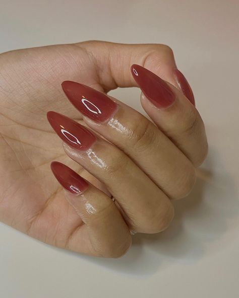 Nails Inspiration Medium Almond, Berry Jelly Nails, Rose Jelly Nails, Burgundy Jelly Nails, Maroon Jelly Nails, Red Nails Jelly, Jelly Brown Nails, Jelly Almond Nails, Dark Jelly Nails