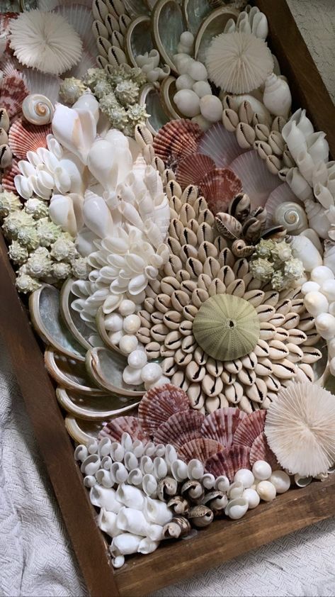 Seashell projects