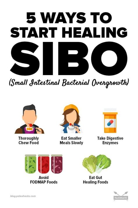 SIBO — short for small intestinal bacterial overgrowth — can wreak havoc on a person’s health if its symptoms are ignored. Get the recipe here: http://paleo.co/sibosymptoms Gut Problems, Ways To Heal, Small Intestine Bacterial Overgrowth, Ginger Benefits, Probiotic Foods, Natural Antibiotics, Gut Bacteria, Natural Cough Remedies, Cough Remedies