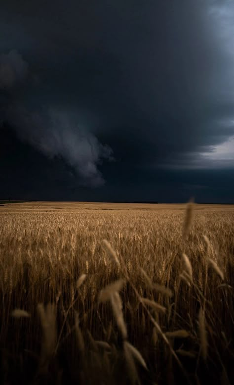 Fields Aesthetic Dark, Moody Wallpaper Aesthetic, Moody Landscape Photography, Dark Field Aesthetic, Laura Core, Gotham Aesthetic, Black Glitter Wallpapers, Atmosphere Photography, Tornado Pictures