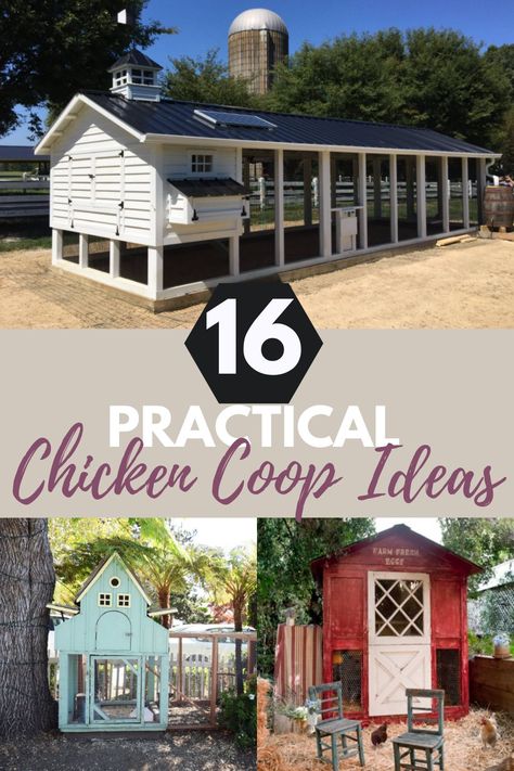 Growing chickens can be a rewarding and educational experience for the family. However, they need to be secured that is why before deciding to grow them, you need to build a chicken coop for their safety. Here are some ideas that you could use when building a chicken coop. #farmhouse #chickencoop #backyard #growingchickens Chicken Coups Design, Shed Chicken Coop Combo, Hen House Ideas, Chicken Coups, Chicken Coop Ideas, Backyard Improvements, Build A Chicken Coop, Cheap Chicken Coops, Easy Chicken Coop