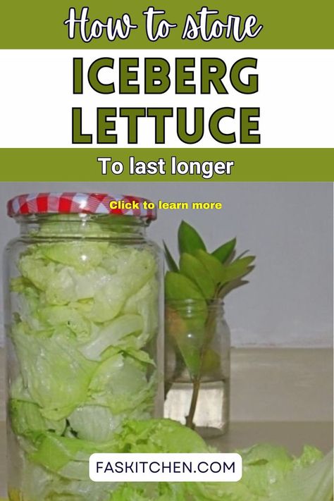 Close-up image of fresh iceberg lettuce with its pale green, tightly packed leaves, showcasing its crisp texture. The head of lettuce has a round shape, with the outer leaves curling slightly. Dew drops glisten on the surface, highlighting its freshness and inviting crunchiness. Perfect for salads or adding to sandwiches. How To Keep Lettuce Fresh, Best Way To Keep Lettuce Fresh, Preserve Lettuce, How To Preserve Lettuce In The Fridge, Keep Lettuce Fresh Longer How To Store, Storing Iceberg Lettuce In Fridge, Storing Lettuce, Types Of Lettuce, Head Of Lettuce