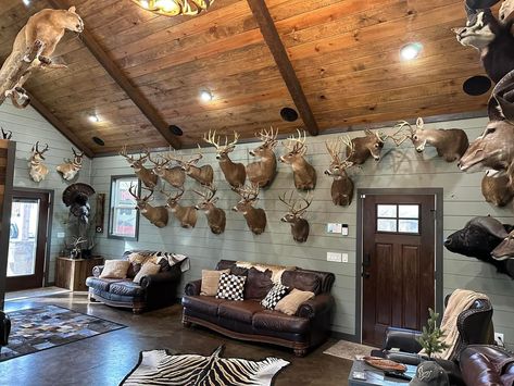 Trophy Hunting Room, Deer Trophy Room, Trophy Room Hunting Man Caves, Deer Hide Decor, Trophy Rooms Hunting, Game Garage, Hunting Lodge Decor, Rustic Man Cave, Deer Mounts