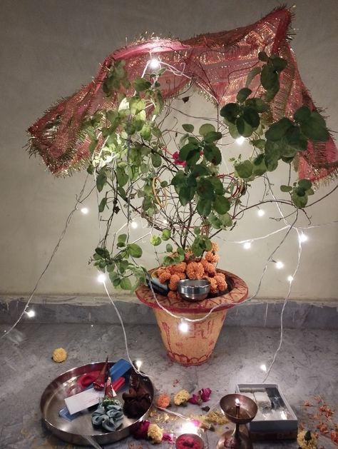 Tulsi Mata, Planter Pots, Plants, Flowers, Quick Saves, Home Decor, Home Décor