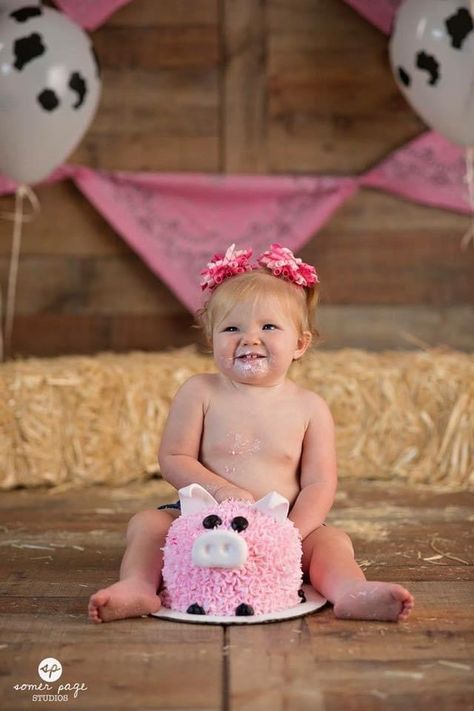 Farm Smash Cake, Farm First Birthday, Girls Farm Birthday, Barnyard Bash, Farm Theme Birthday, 1st Birthday Party For Girls, Farm Animals Birthday Party, Farm Themed Birthday Party, First Birthday Pictures