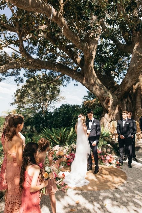 Apricot Garden, Tree Restaurant, Polka Dot Wedding, Tree Wedding, Fig Tree, Pictures Images, Garden Wedding, Apricot, Fig