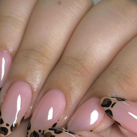 𝐦𝐚𝐧𝐢𝐜𝐮𝐫𝐞𝐬 𝐛𝐲 𝐦𝐨 🧚🏻 on Instagram: "leopard tips 🐆  @apresnailofficial vintage carnation  medium almond tips   #leopardtips #gelnails #gelmani #gel #naturalnails #chromenails #detailed #pinterestnails #nailinspo #manicuresbymo #la #nailtech gelxtensions #la #nailtech #funkynails #nailporn #naildesign #nailsoftheday  #nailfeed #nailaddict #aura #auranails #airbrush #pink #purple #vibes #blue #manicuresbymo" Leopard And Pink Nails, Pink Leopard Nails Acrylic, Pink Cheetah French Tip Nails, Pink Nails Cheetah, Almond Lepord Nails, Almond Tips, Purple Nails With Cheetah Print, Pink Cheetah Nails Y2k, Pretty Fingers