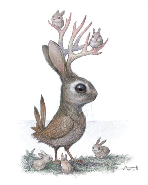 Jackalope Drawing, Thomas Ascott, Cute Jackalope, Hybrid Art, Creature Drawings, Bunny Art, Smoky Mountain, Mythical Creatures Art, Pop Surrealism