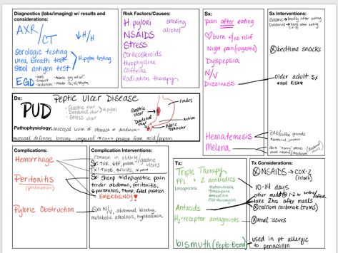 Peptic Ulcer Disease concept map Upper Gi Nursing, Pharmacist Notes, Peptic Ulcers Nursing, Pathophysiology Notes, Gi Nursing, Medsurg Nursing, Concept Map Nursing, Nursing Concept Map, Gi System