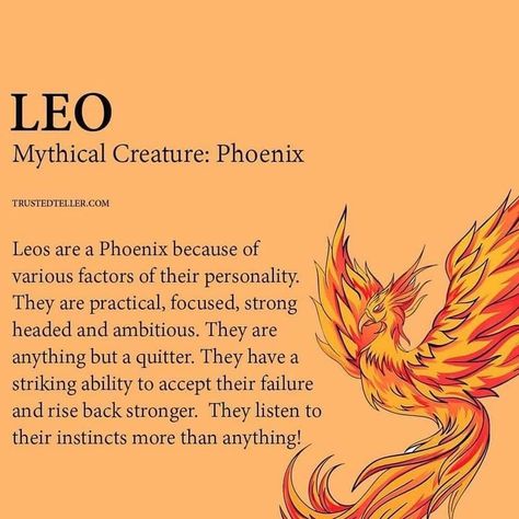 Leo Meaning, Zodiac Leo Art, Zodiak Leo, Zodiac Signs Leo Tattoo, Leo Zodiac Quotes, Leo Virgo Cusp, Leo Star Sign, Leo Quotes, Leo Zodiac Facts