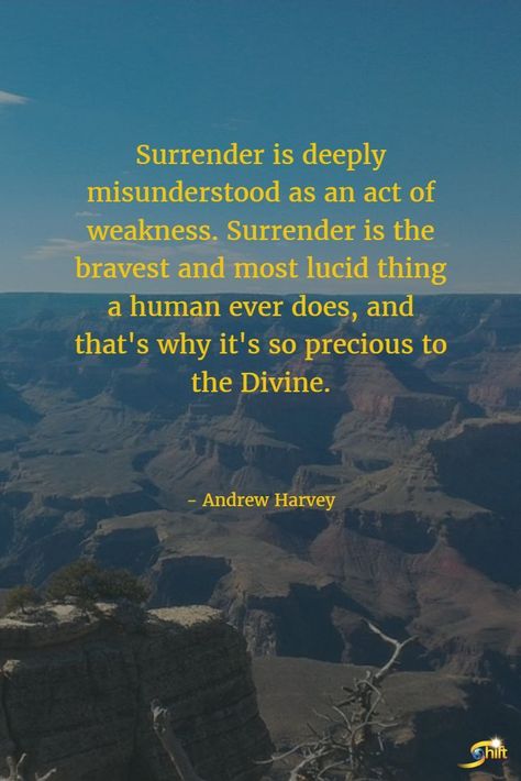 Surrender is not weakness. Surrender Quotes, Yoga Themes, Life Affirming, The Shift, Magic Words, Yoga Quotes, Life Path, Spiritual Inspiration, Profile Photo