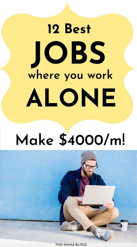 How To Work For Yourself, Remote Jobs For Introverts, Jobs For Introverts, Hate Work, Best Jobs, Working Online, Money Strategy, Helpful Things, People Person