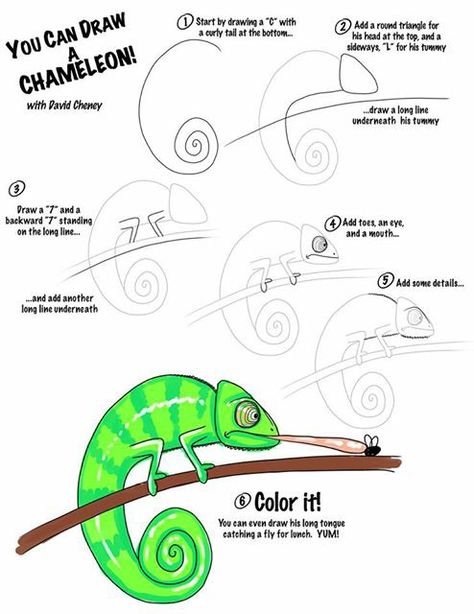 How To Draw An Iguana, How To Draw Chameleon, How To Draw A Chameleon, Camilian Lizard Drawing, Chameleon Drawing Easy, Chameleon Sketch, Cameleon Art, Chameleon Drawing, Chameleon Eyes