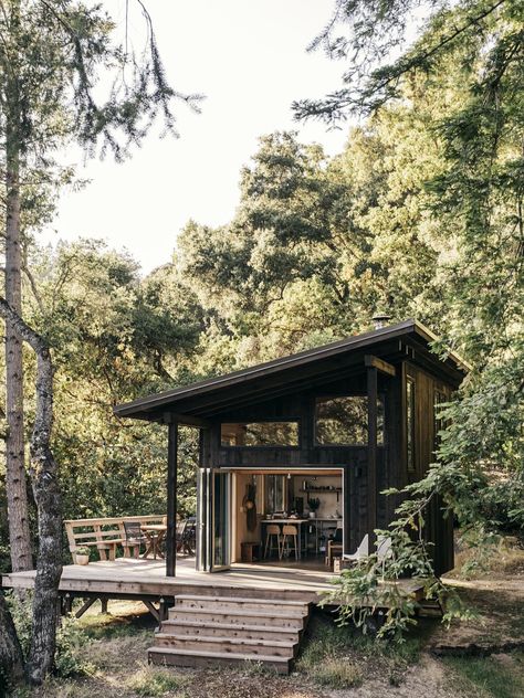 This DIY Couple Craft a Tiny Cabin in the Santa Cruz Mountains for Less Than $35K - Dwell Diy Couples Crafts, Small Cabin In The Woods, Casa Hobbit, Diy Couple, Black Cabin, Couple Crafts, Building A Cabin, Santa Cruz Mountains, Beautiful Cabins