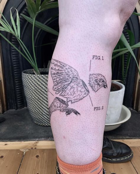 Dissection Tattoo, Melbourne Tattoo, Birds Tattoo, Animal Tattoos, Blackwork, Thank You So Much, Geometric Tattoo, Art Tattoo, Tattoos