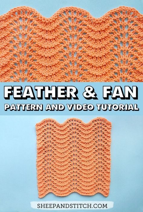 Feather and Fan Stitch for Beginner Knitters | sheepandstitch.com Types Of Knitting, Types Of Knitting Stitches, Knitting Patterns Free Blanket, Knitting Stitches Tutorial, Feather Stitch, Beginner Knitting Patterns, Cowl Knitting Pattern, Baby Blanket Knitting Pattern, Feather Pattern