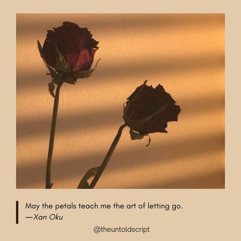 The Untold Script on Instagram: "May the petals teach me the art of letting go. ―Xan Oku . . 👉 Follow// @theuntoldscript 👉 LIKE+SAVE+COMMENT+SHARE . . . . . #theuntoldscript #literature #literaturememes #literaturequotes #poetry #poem #poetrycommunity #hozier #darkacademia #darkaesthetic #aesthetic #classic #bookstagram #academia #cottagecore #quotes #quotestagram #love #deadpoetssociety #tumblr #tumblrquotes #tumblraesthetic #vintage #book #lightacademia  #aestheticedits #donnatartt #life #li Cottagecore Quotes, Moon And Star Quotes, The Art Of Letting Go, Dreamy Quotes, Short Meaningful Quotes, Rose Quotes, Art Of Letting Go, Star Quotes, Best Quotes From Books