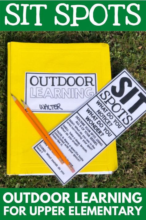 Elementary School Ideas, Outdoor Classroom Activities, Environmental Science Activities, Outdoor Kindergarten, Nature Observation, Observational Learning, Outdoor Science, Learning Outside, Sit Spots