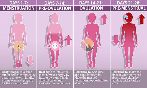 Menstrual Phases, Period Cycle, Plan Your Life, Fertility Health, How To Explain, Menstrual Health, Feminine Health, Moon Cycles, Hormone Health