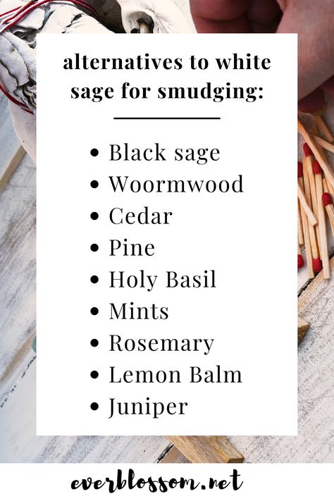 What To Say When Burning Sage, What Does Burning Sage Do, Cleansing Alternatives To Sage, White Sage Magical Properties, Spirit Cleansing, Weather Magick, White Sage Plant, Lemon Balm Smudge Stick, Meditation Station