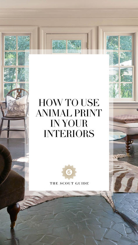 How to Use Animal Print in Your Interiors | The Scout Guide Scout Guide, The Scout, Walk On The Wild Side, Entry Hall, Take A Walk, Leopard Pattern, Getting Cozy, Walk On, A Walk