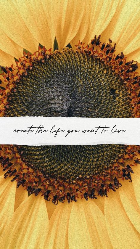 Lifestyle quote Instagram story template | premium image by rawpixel.com / Jennifer Claesson Quote Instagram Story, Insta Background, Iphone Wallpaper Summer, Sunflower Aesthetic, Story Backgrounds, Quote Instagram, Iphone Wallpaper Yellow, Sunflower Quotes, Hippie Quotes