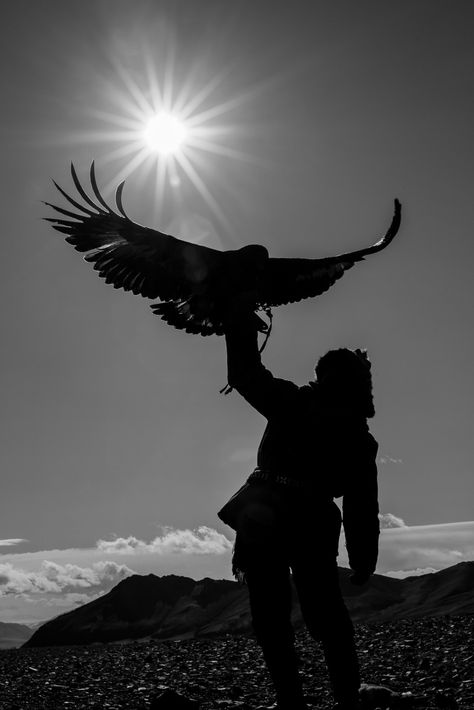 Eagle Hunters Mongolia - Sarah Jenkins Photography Eagle Aesthetic, Hunter Aesthetic, Traditional Eagle, Wild Hunter, Eagle Photo, Eagle Hunter, Golden Eagles, Dark Art Photography, Wild Animals Pictures