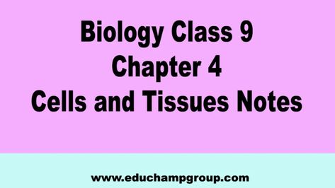 Biology Class 9 Chapter 4 Cells and Tissues Notes 3 Tissues Notes, Education Notes, Nuclear Membrane, Light Reaction, Cell Theory, Cell Organelles, Eukaryotic Cell, Louis Pasteur, Cellular Respiration