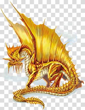 5e Dragon, Gold Powers, European Dragon, Wing Anatomy, Chromatic Dragon, Dragon Anatomy, Monster Manual, Legendary Dragons, D D Monsters