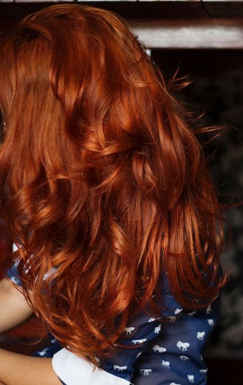 Autumn Hair Color, Auburn Hair With Highlights, Cheveux Oranges, Auburn Hair Color, Autumn Hair, Red Hair Don't Care, Ginger Hair Color, Copper Hair Color, Hair Color Auburn