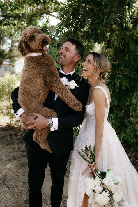 Dog Wedding Photos, Wedding Shot List, Shot List, Wedding Pets, Victorian Wedding, Groom Photo, Courthouse Wedding, Cute Pets, Wedding Preparation