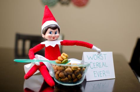 Elf On The Shelf Dog Food, Humans Are Elves To Dogs, Elf With Elf Pet Ideas, Elf Movie Elf On The Shelf, Veterinary Elf On The Shelf, Elf Ideas Easy, Santas Coming, Elf Activities, Xmas Elf