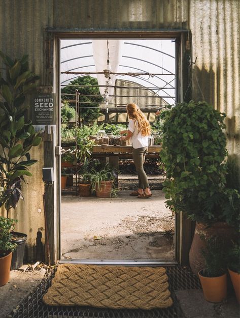 Plant Swap, Seed Exchange, Magnolia Journal, Word Of Mouth, Organic Farming, Green Thumb, Magnolia, Seeds