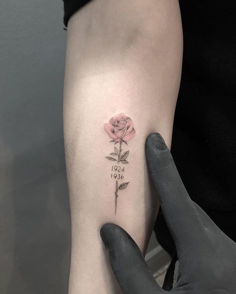 Miller Aesthetic, A Rose Tattoo, Little Rose Tattoos, Aesthetic Pool, Daniel Miller, Small Tattoo Placement, Pink Rose Tattoos, Small Rose Tattoo, Cat Tattoos