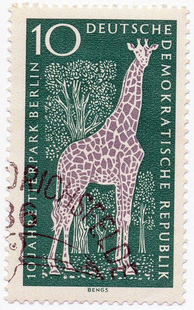 1965 German Stamp - Giraffe طوابع بريد, German Stamps, Giraffe Design, Postage Stamp Design, طابع بريدي, Mail Stamp, Giraffe Art, Postage Stamp Art, A Giraffe