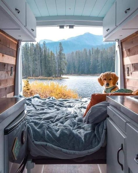 Kombi Home, Dapple Dachshund, Bus Life, Festival Camping, Van Home, Van Living, Travel Van, Campervan Conversions, Camper Life