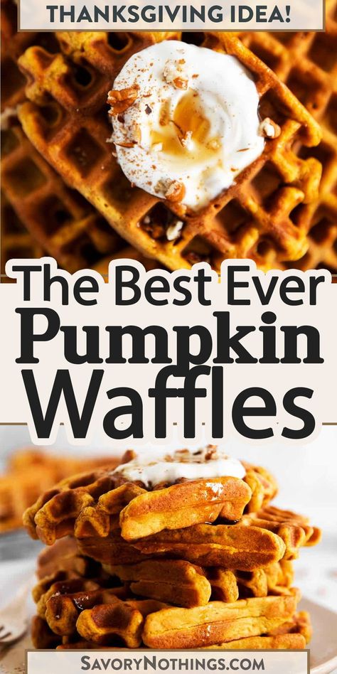 We love these soft and fluffy pumpkin waffles! My recipe makes a quick batter from scratch with an entire cup of pumpkin, eggs, flour, pumpkin spice (obviously!) and milk. The perfect treat on a crisp fall morning! | #waffles #pumpkinrecipe #breakfastrecipe Best Pumpkin Waffles, Pumpkin Spice Waffles Easy, Pumpkin Waffles Without Eggs, Healthy Pumpkin Spice Waffles, Pumpkin Waffles Recipe Krusteaz, Homemade Pumpkin Waffles, Bisquick Pumpkin Waffles, Pumpkin Belgian Waffles, Cottage Cheese Pumpkin Waffles