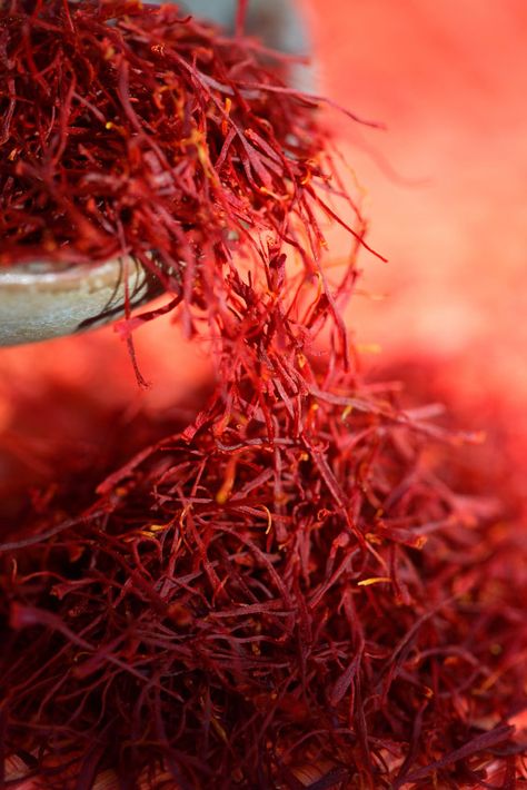 iranian Saffron #spices #foodphotography Saffron Spice, Saffron Threads, Persian Food, Spices And Herbs, Shades Of Red, Red Peppercorn, Iran, Red Color, Favorite Color