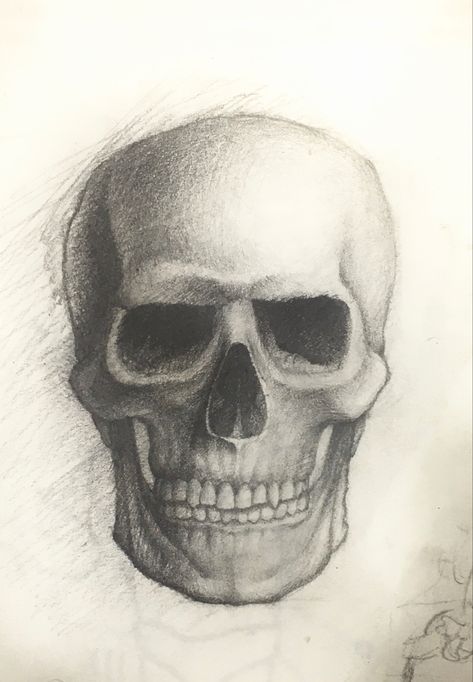 Anatomical Skull Drawing, Skull Front View Drawing, Skull Art Drawing Pencil, Skull Sketch Simple, Skull Face Drawing, Skull Shading, Skull Front View, Shading Faces, Eyeball Drawing