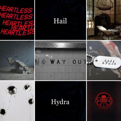 Hydra aesthetic Hydra Aesthetic Marvel, Hydra Aesthetic, Hydra Marvel, Captain America Poster, Bucky Barnes Aesthetic, Marvel Gif, Aesthetic Marvel, Hail Hydra, Dr Marvel