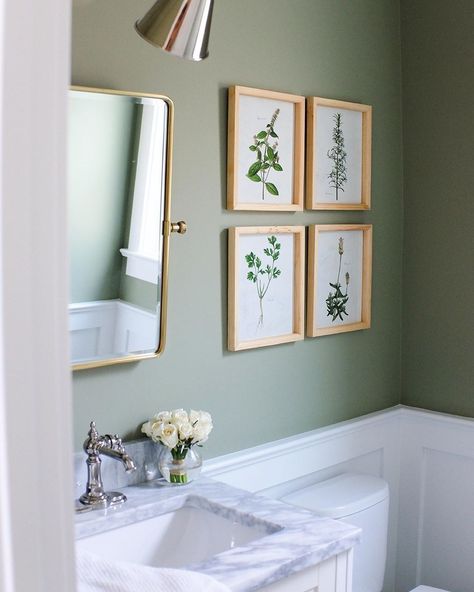 Farrow & Ball on Instagram: “"Just the statement this little room needed." – @theeverygirl co-founder @alainakaz on painting her powder room #Lichen, the perfect muted…” Inspiration Wc, Green Powder Room, Gray Interiors, Downstairs Toilet, Powder Room Design, Toilet Room, Bathroom Paint Colors, Green Bathroom, Bathroom Renos