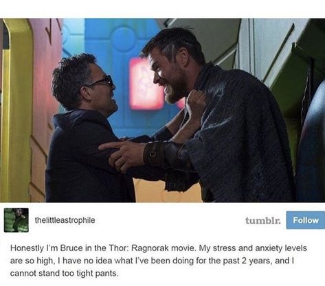 Thor And Loki, Frank Castle, Crimson Peak, Matt Murdock, Carol Danvers, Thor Ragnarok, Dc Memes, Mark Ruffalo, Bruce Banner