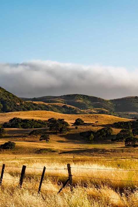 Field And Mountains, Field With Trees, Grain Field, California Hills, California Fall, Field Photos, Watercolor Landscapes, East Of Eden, Farmhouse Landscaping